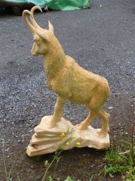 tj13-14 pferde titel oeschs 148